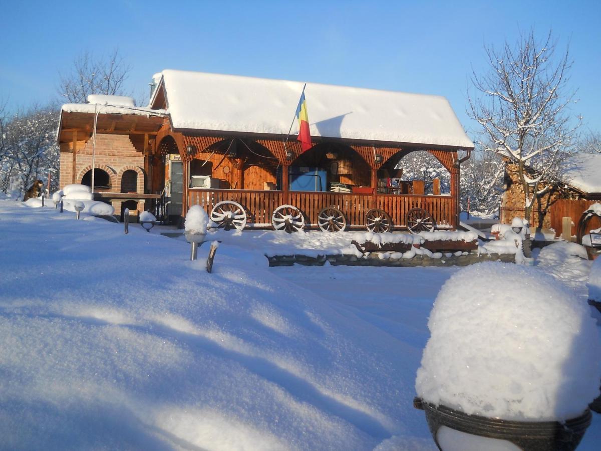 Pensiunea Roua Muntilor Sîmbăta de Sus Buitenkant foto