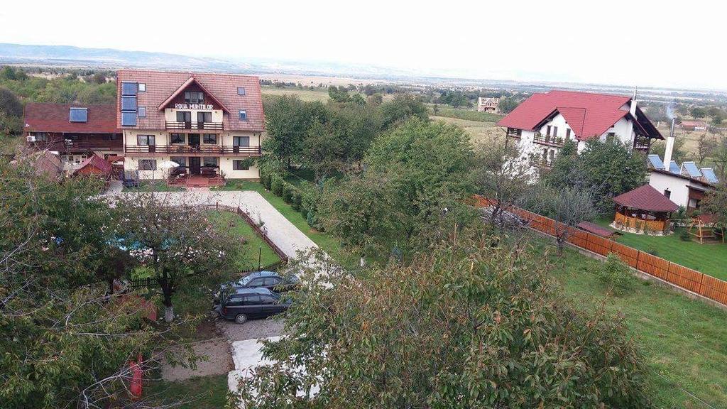 Pensiunea Roua Muntilor Sîmbăta de Sus Buitenkant foto